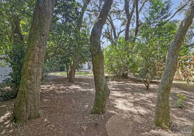 Photo 52 of Single family home for sale at 12 Dewitt Dr, Pensacola, FL 32507 | MLS# 688409 | Listing updated on 2026-09-02
