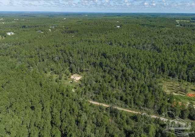 Photo 3 of Sale Pending at 15 Acres Native Crk Rd, Pace, FL 32571 | MLS# 688797 | Listing updated on 2026-10-02