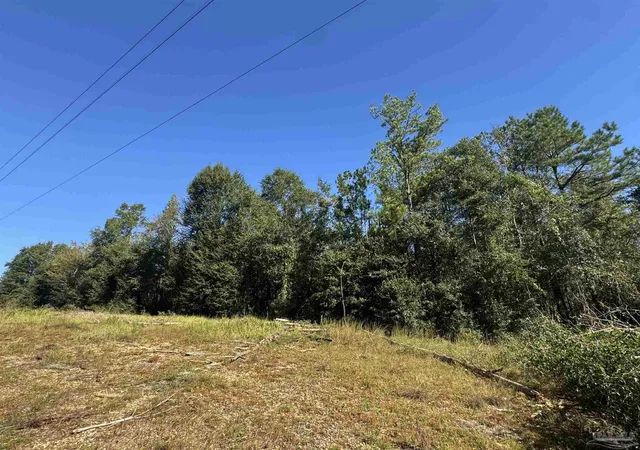 Photo 1 of Land for sale at 003 Van Hoosen Rd, Flomaton, AL 36441 | MLS# 690105 | Listing updated on 2026-10-13