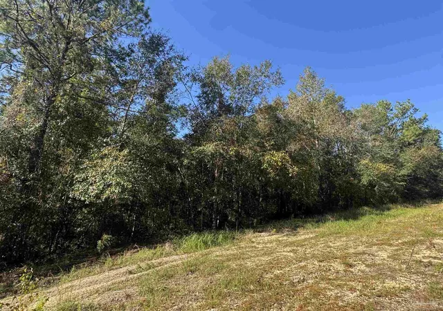 Photo 2 of Land for sale at 003 Van Hoosen Rd, Flomaton, AL 36441 | MLS# 690105 | Listing updated on 2026-10-13