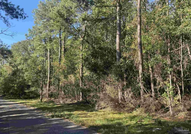 Photo 4 of Land for sale at 003 Van Hoosen Rd, Flomaton, AL 36441 | MLS# 690105 | Listing updated on 2026-10-13