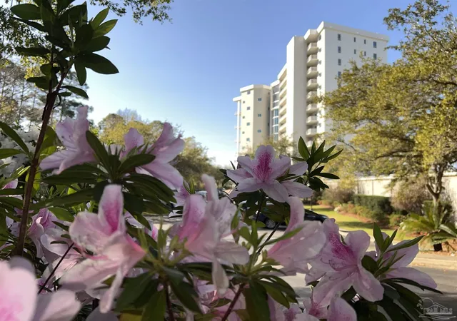 Photo 2 of Condo for sale at 28250 Canal Rd #504, Orange Beach, AL 36561 | MLS# 689202 | Listing updated on 2026-09-27