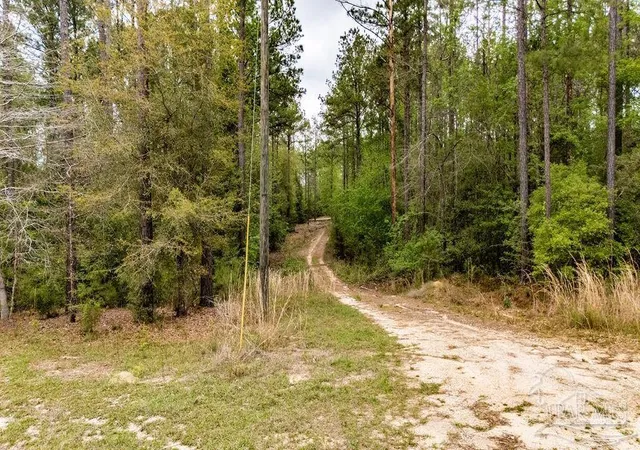 Photo 3 of Single family home for sale at 4660 Morristown Rd, Jay, FL 32565 | MLS# 688843 | Listing updated on 2026-09-11
