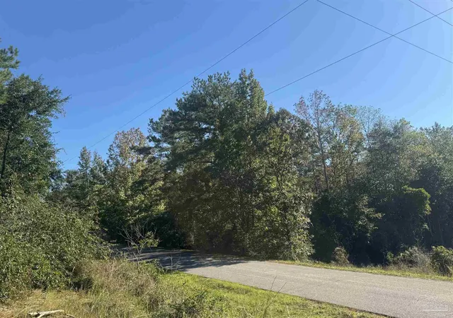 Photo 1 of Land for sale at 001 Van Hoosen Rd, Flomaton, AL 36441 | MLS# 690102 | Listing updated on 2026-10-12