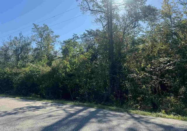 Photo 2 of Land for sale at 001 Van Hoosen Rd, Flomaton, AL 36441 | MLS# 690102 | Listing updated on 2026-10-12
