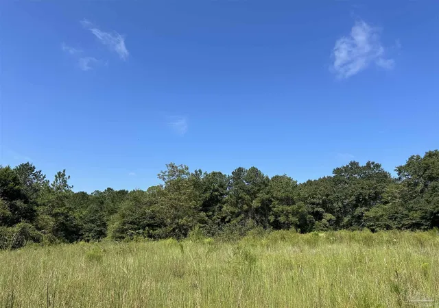 Land for sale at 4949 Dobson Rd, Jay, FL 32565 | MLS# 689304