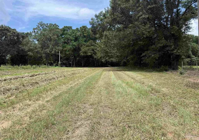 Photo 2 of Land for sale at Lot 2 Watermill Rd, Jay, FL 32565 | MLS# 688679 | Listing updated on 2026-09-12