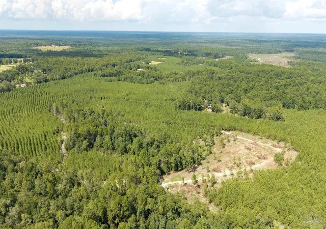 Photo 17 of Land for sale at 4920 Richardson Rd, Molino, FL 32577 | MLS# 688351 | Listing updated on 2026-09-01
