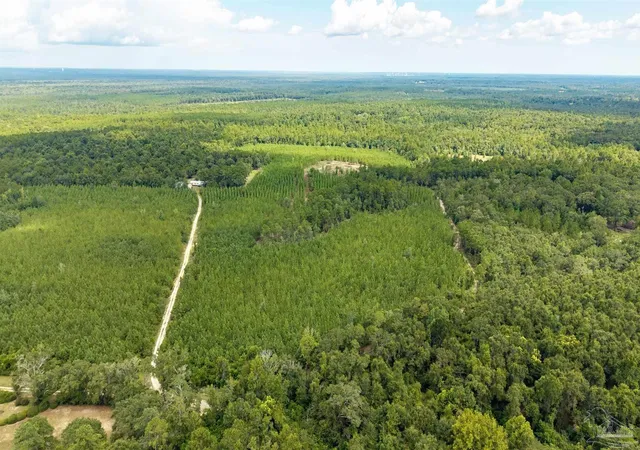 Photo 1 of Land for sale at 4920 Richardson Rd, Molino, FL 32577 | MLS# 688351 | Listing updated on 2026-09-01