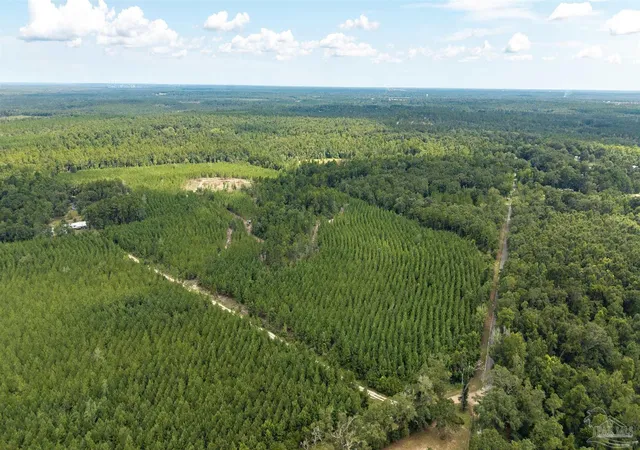Photo 2 of Land for sale at 4920 Richardson Rd, Molino, FL 32577 | MLS# 688351 | Listing updated on 2026-09-01
