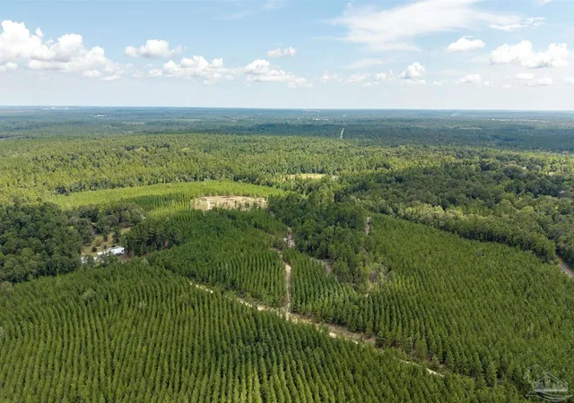 Photo 3 of Land for sale at 4920 Richardson Rd, Molino, FL 32577 | MLS# 688351 | Listing updated on 2026-09-22