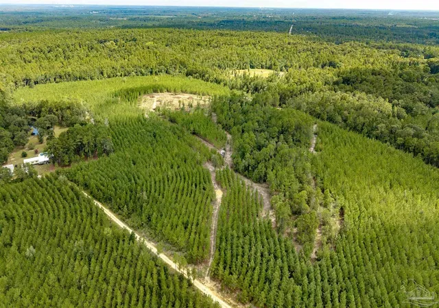 Photo 3 of Land for sale at 4920 Richardson Rd, Molino, FL 32577 | MLS# 688351 | Listing updated on 2026-09-22
