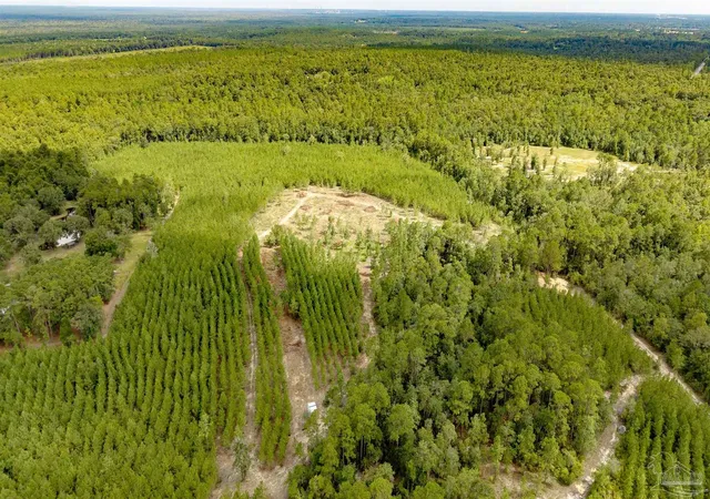 Photo 4 of Land for sale at 4920 Richardson Rd, Molino, FL 32577 | MLS# 688351 | Listing updated on 2026-09-22