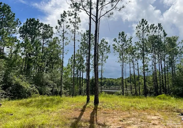 Photo 3 of Land for sale at 0030 & 0040 Del Rey Dr, Milton, FL 32583 | MLS# 689815 | Listing updated on 2026-10-02