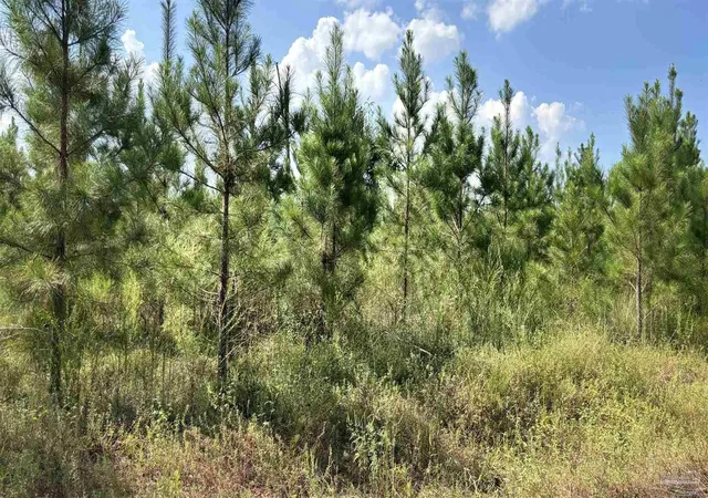Photo 1 of Land for sale at Lot 88 Posie Forest Rd, Milton, FL 32583 | MLS# 689477 | Listing updated on 2026-09-24