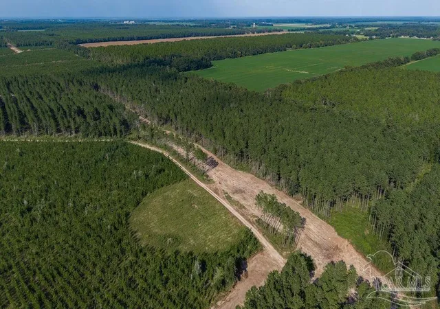 Photo 2 of Land for sale at Lot 88 Posie Forest Rd, Milton, FL 32583 | MLS# 689477 | Listing updated on 2026-09-24