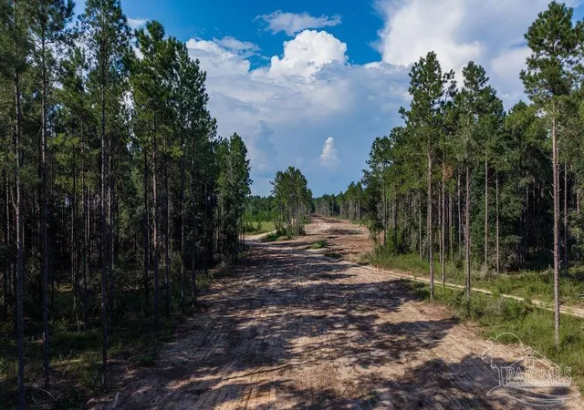 Photo 3 of Land for sale at Lot 88 Posie Forest Rd, Milton, FL 32583 | MLS# 689477 | Listing updated on 2026-09-24