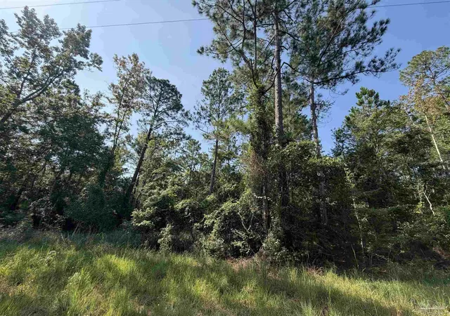 Photo 3 of Land for sale at 000 N 8th Ave, Milton, FL 32583 | MLS# 688270 | Listing updated on 2026-09-01