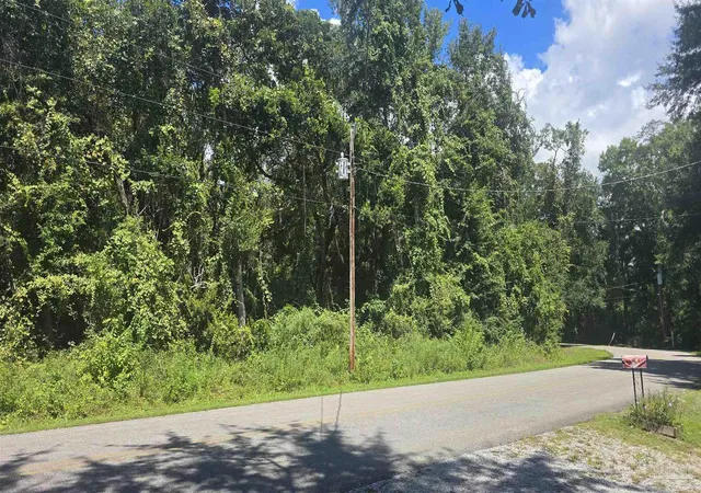Photo 1 of Land for sale at 0000 E Byp Forest Dr, Freeport, FL 32439 | MLS# 688799 | Listing updated on 2026-09-10