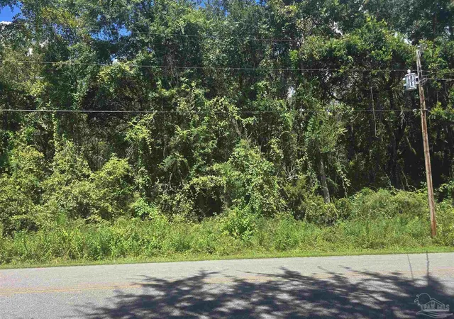Photo 2 of Land for sale at 0000 E Byp Forest Dr, Freeport, FL 32439 | MLS# 688799 | Listing updated on 2026-09-10