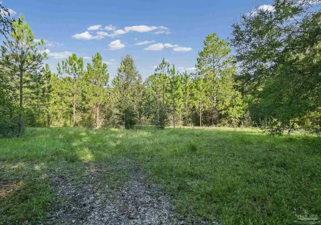 Photo 1 of Land for sale at 00 Chumuckla Hwy, Milton, FL 32571 | MLS# 689884 | Listing updated on 2026-10-08