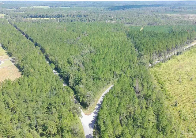 Photo 1 of Land for sale at Lot 5 Chumuckla Springs Rd, Jay, FL 32565 | MLS# 689928 | Listing updated on 2026-10-14