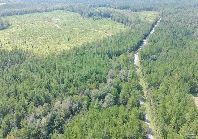 Photo 2 of Land for sale at Lot 5 Chumuckla Springs Rd, Jay, FL 32565 | MLS# 689928 | Listing updated on 2026-10-14