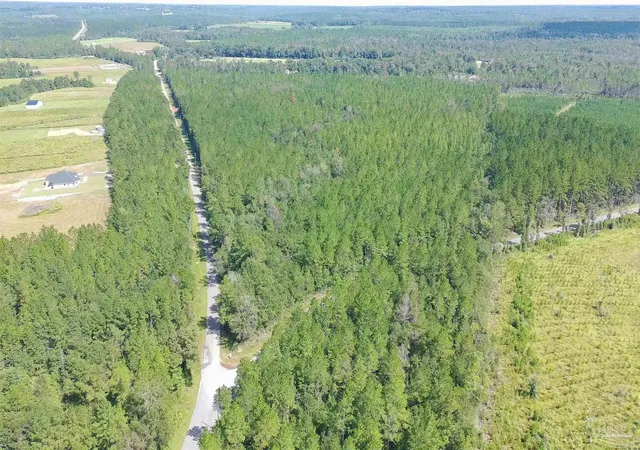 Photo 3 of Land for sale at Lot 5 Chumuckla Springs Rd, Jay, FL 32565 | MLS# 689928 | Listing updated on 2026-10-14