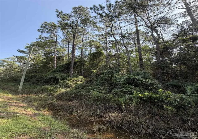 Photo 3 of Land for sale at 000 N 14th Ave, Milton, FL 32583 | MLS# 688282 | Listing updated on 2026-09-01