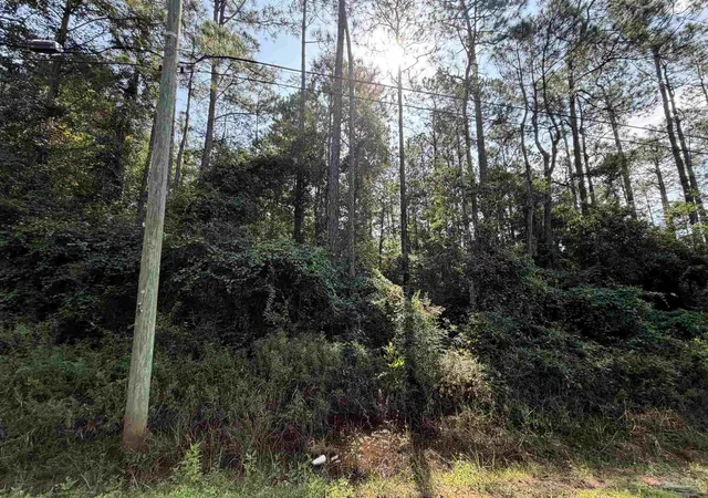 Photo 4 of Land for sale at 000 N 14Th Ave, Milton, FL 32583 | MLS# 688282 | Listing updated on 2026-09-01