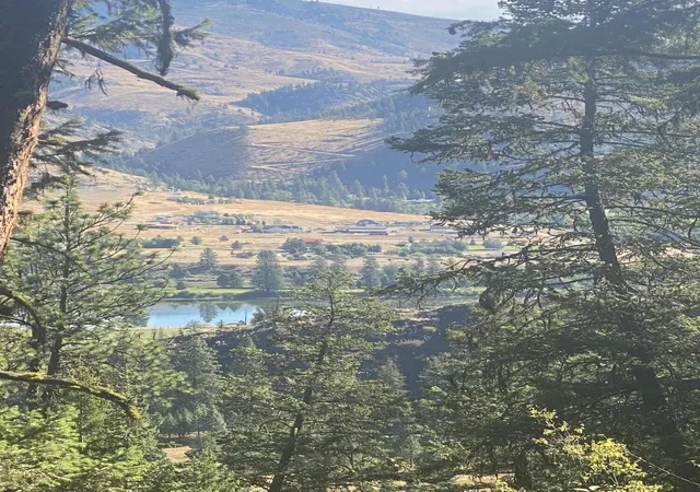 Photo 2 of Land for sale at Lot 30 Bighorn, Plains, MT 59859 | MLS# 22213139 | Listing updated on 2026-09-02