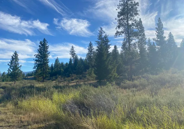 Photo 1 of Land for sale at Lot 14 Bighorn, Plains, MT 59859 | MLS# 22213133 | Listing updated on 2026-09-02