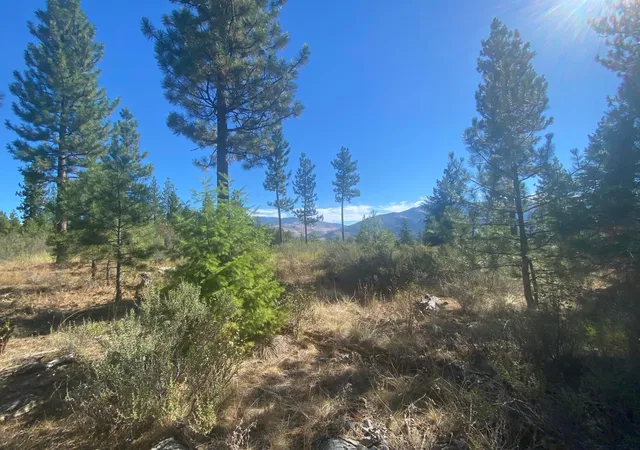 Photo 2 of Land for sale at Lot 14 Bighorn, Plains, MT 59859 | MLS# 22213133 | Listing updated on 2026-09-02