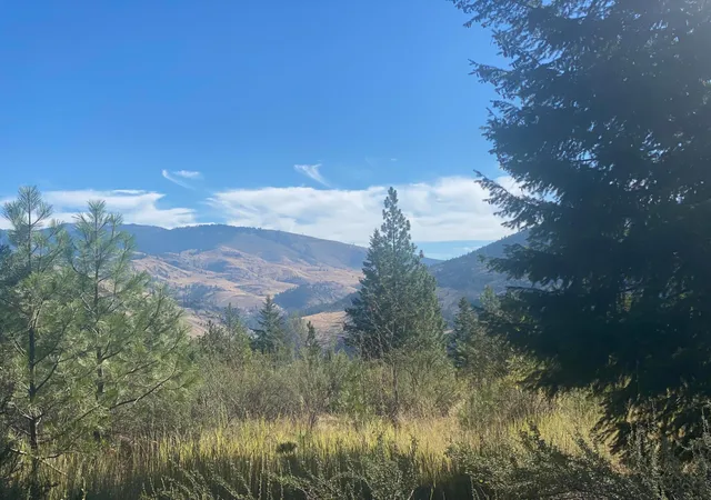 Photo 3 of Land for sale at Lot 14 Bighorn, Plains, MT 59859 | MLS# 22213133 | Listing updated on 2026-09-02