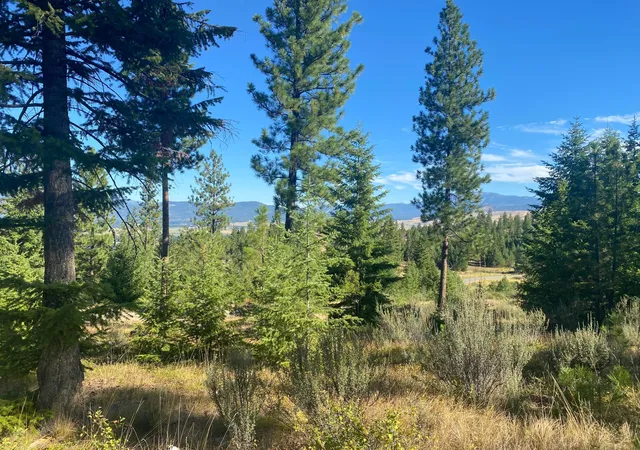 Photo 1 of Land for sale at Lot 27 Bighorn Bluff, Plains, MT 59859 | MLS# 22213137 | Listing updated on 2026-09-02