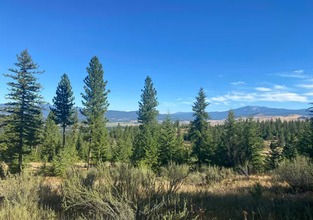 Photo 3 of Land for sale at Lot 27 Bighorn Bluff, Plains, MT 59859 | MLS# 22213137 | Listing updated on 2026-09-02