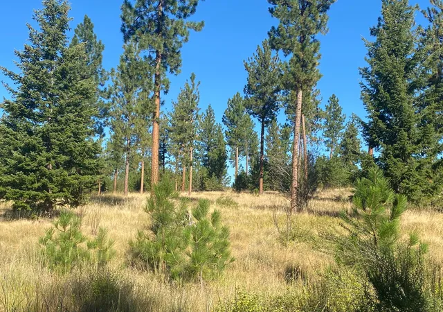 Photo 3 of Land for sale at Lot 40 Bighorn Bluff Loop, Plains, MT 59859 | MLS# 22213144 | Listing updated on 2026-09-15