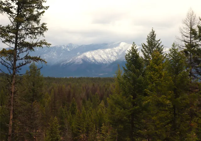 Photo 3 of Land for sale at Nhn 120 Acres South, Eureka, MT 59917 | MLS# 30022469 | Listing updated on 2026-09-08