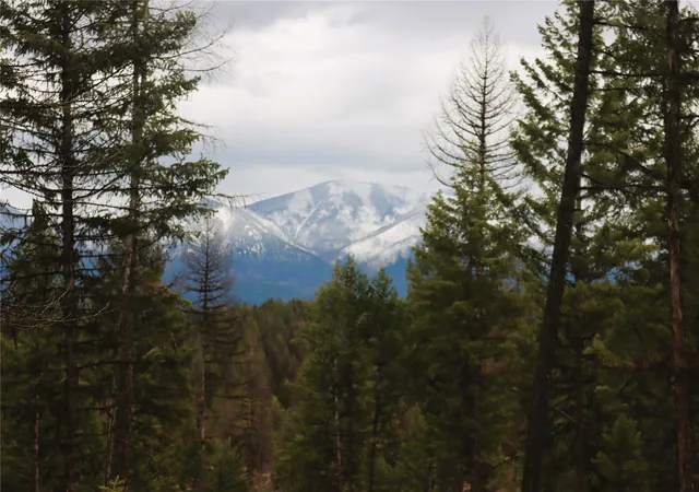 Photo 3 of Land for sale at Nhn 120 Acres South, Eureka, MT 59917 | MLS# 30022469 | Listing updated on 2026-09-08