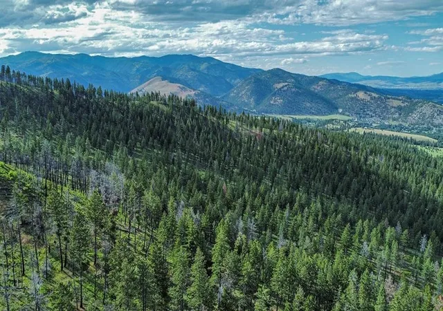Photo 2 of Land for sale at 15100 Rock Ridge Rd, Florence, MT 59833 | MLS# 30023373 | Listing updated on 2026-09-14