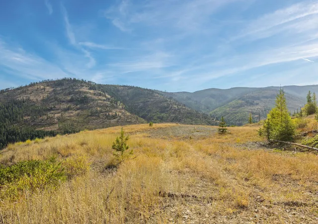 Photo 3 of House for sale at Nhn Vermillion Crk Rd, Libby, MT 59923 | MLS# 30041511 | Listing updated on 2026-09-04