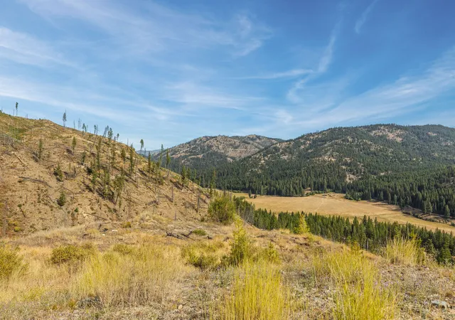 Photo 4 of House for sale at Nhn Vermillion Crk Rd, Libby, MT 59923 | MLS# 30041511 | Listing updated on 2026-09-04