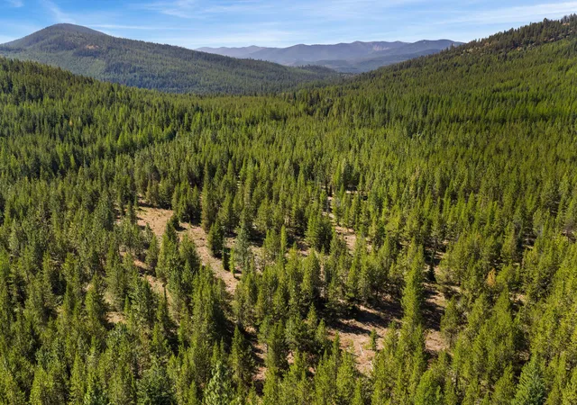 Photo 1 of Land for sale at Nhn Elk Crk Mcginnis Meadows Rd Section 11, Libby, MT 59923 | MLS# 30041185 | Listing updated on 2026-09-04