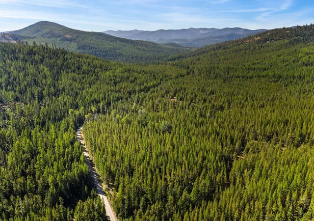 Photo 2 of Land for sale at Nhn Elk Crk Mcginnis Meadows Rd Section 11, Libby, MT 59923 | MLS# 30041185 | Listing updated on 2026-09-04