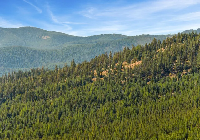 Photo 3 of Land for sale at Nhn Elk Crk Mcginnis Meadows Rd Section 11, Libby, MT 59923 | MLS# 30041185 | Listing updated on 2026-09-04