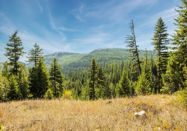 Photo 1 of Land for sale at Nhn Whitney Lake Rd, Libby, MT 59923 | MLS# 30041225 | Listing updated on 2026-09-04