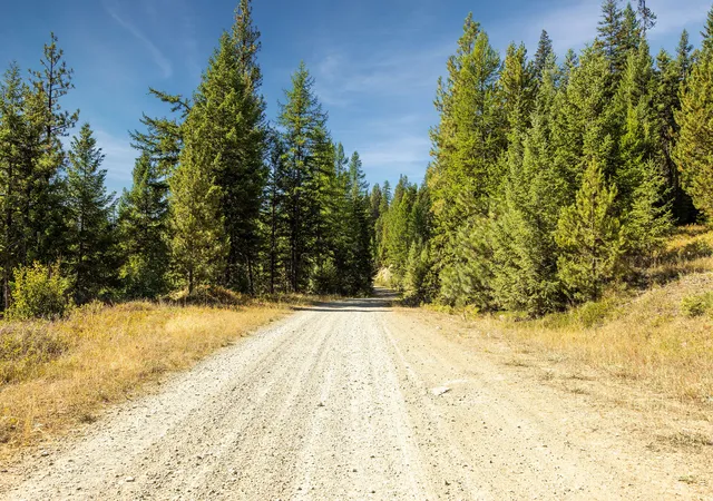 Photo 2 of Land for sale at Nhn Whitney Lake Rd, Libby, MT 59923 | MLS# 30041225 | Listing updated on 2026-09-04