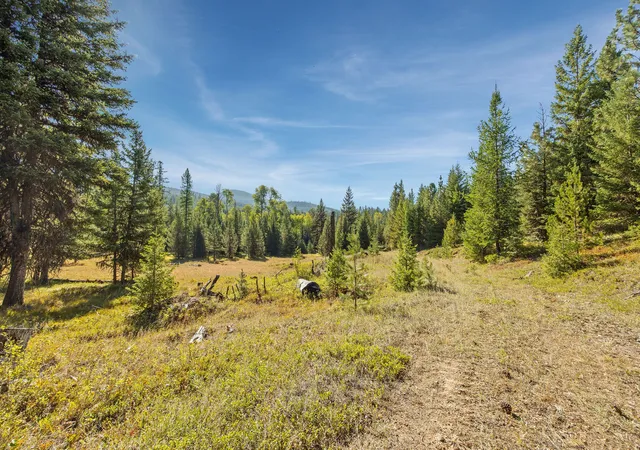 Photo 3 of Land for sale at Nhn Whitney Lake Rd, Libby, MT 59923 | MLS# 30041225 | Listing updated on 2026-09-04