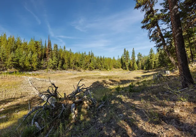 Photo 4 of House for sale at Nhn Whitney Lake Rd, Libby, MT 59923 | MLS# 30041225 | Listing updated on 2026-09-04