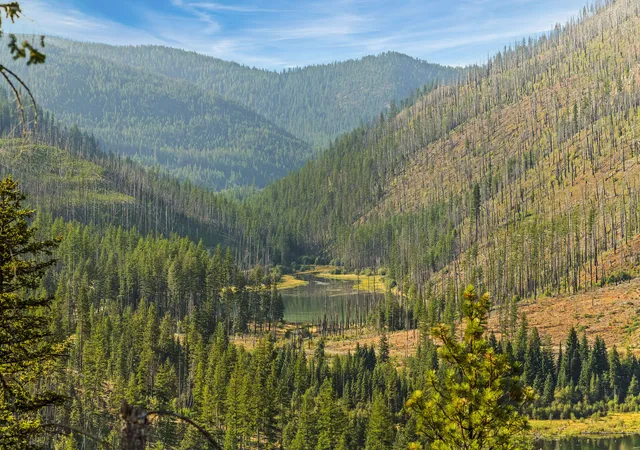 Photo 3 of Land for sale at Nhn Vermillion Creek Rd, Libby, MT 59923 | MLS# 30044302 | Listing updated on 2026-09-04